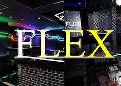 FLEX1